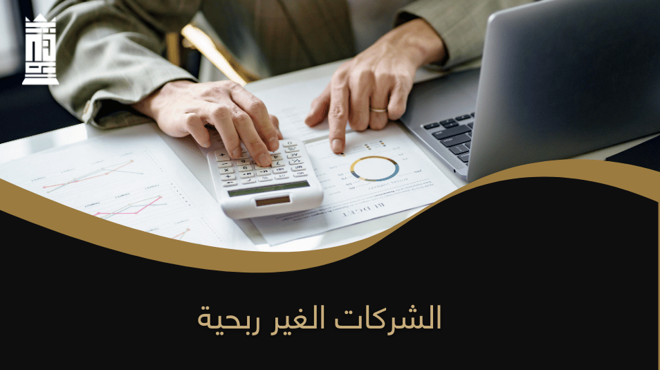 الشركات الغير ربحية
